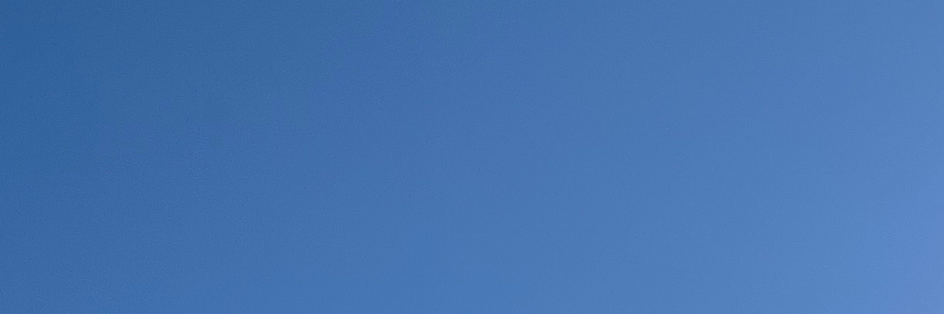 ジンガ