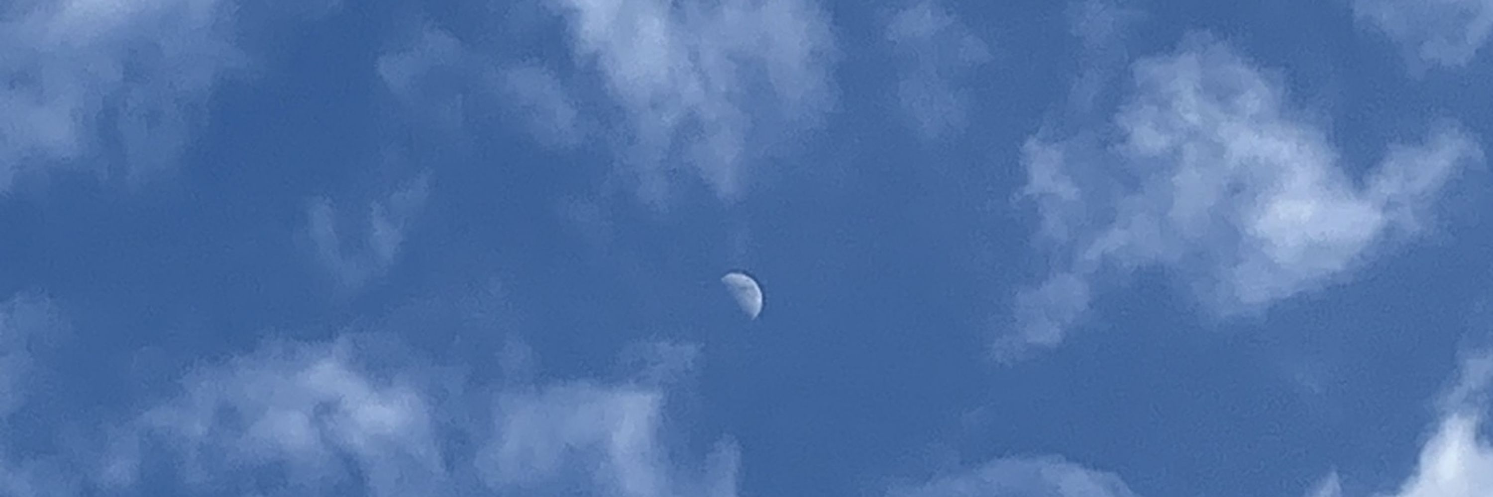 明星