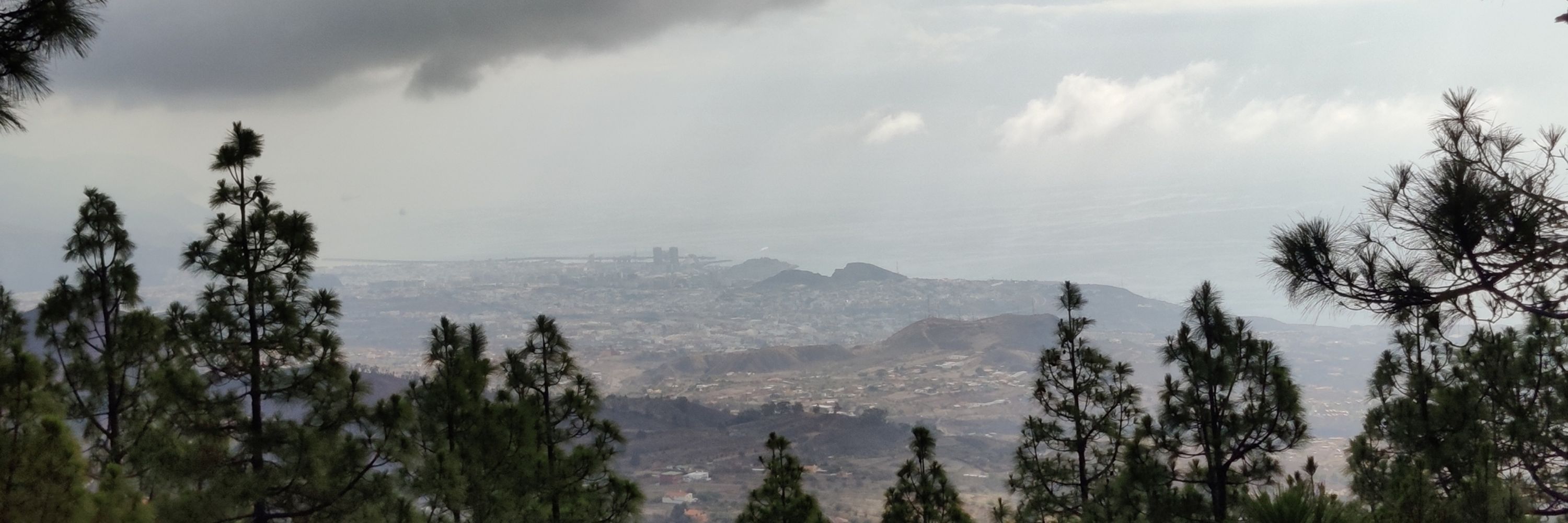 Elías