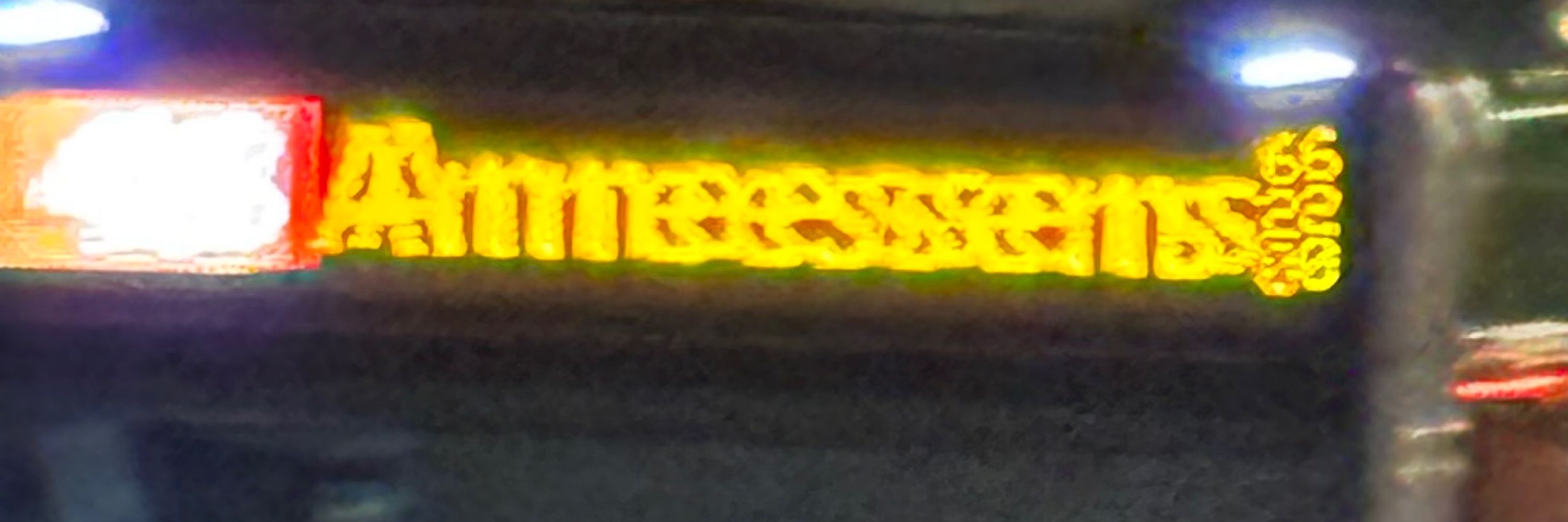 Dickbrettsäger