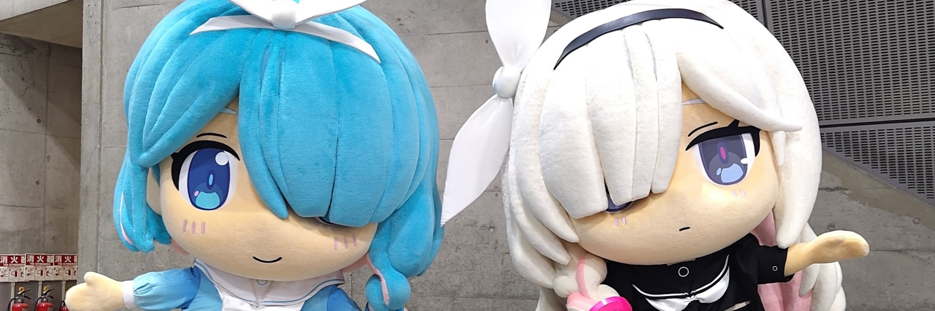 ﾜｯﾁｮｲ