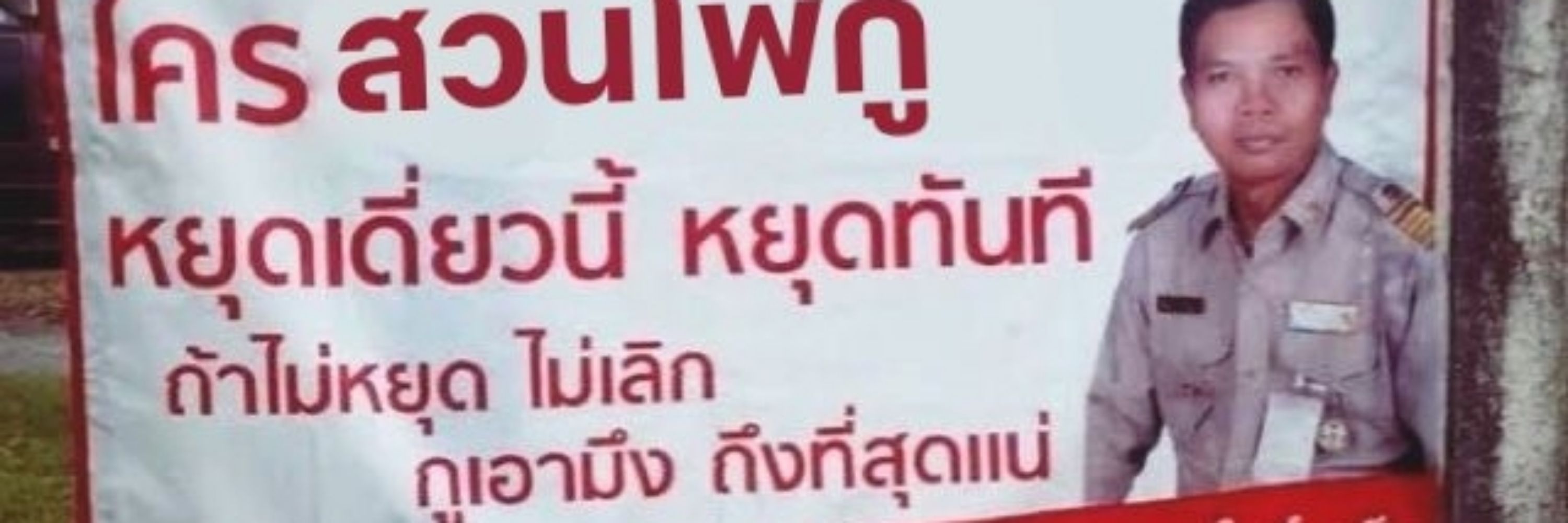 แมวตกถังสีม่วง