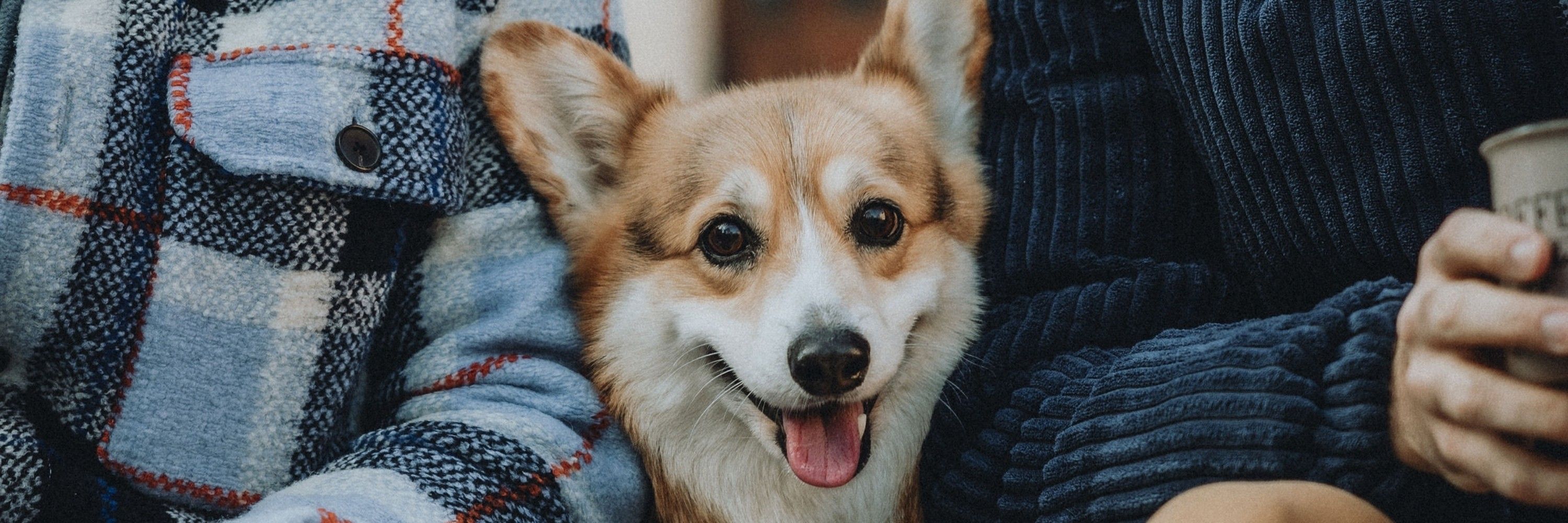 Niko Le Fada