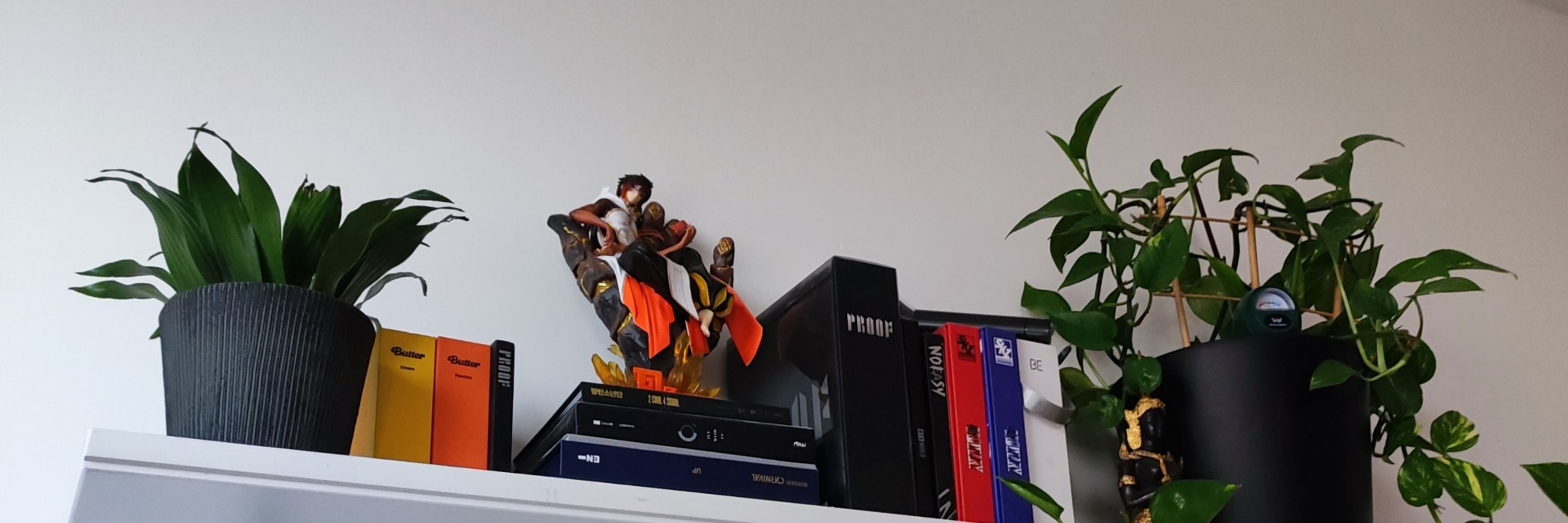 MochiCatAndStudy