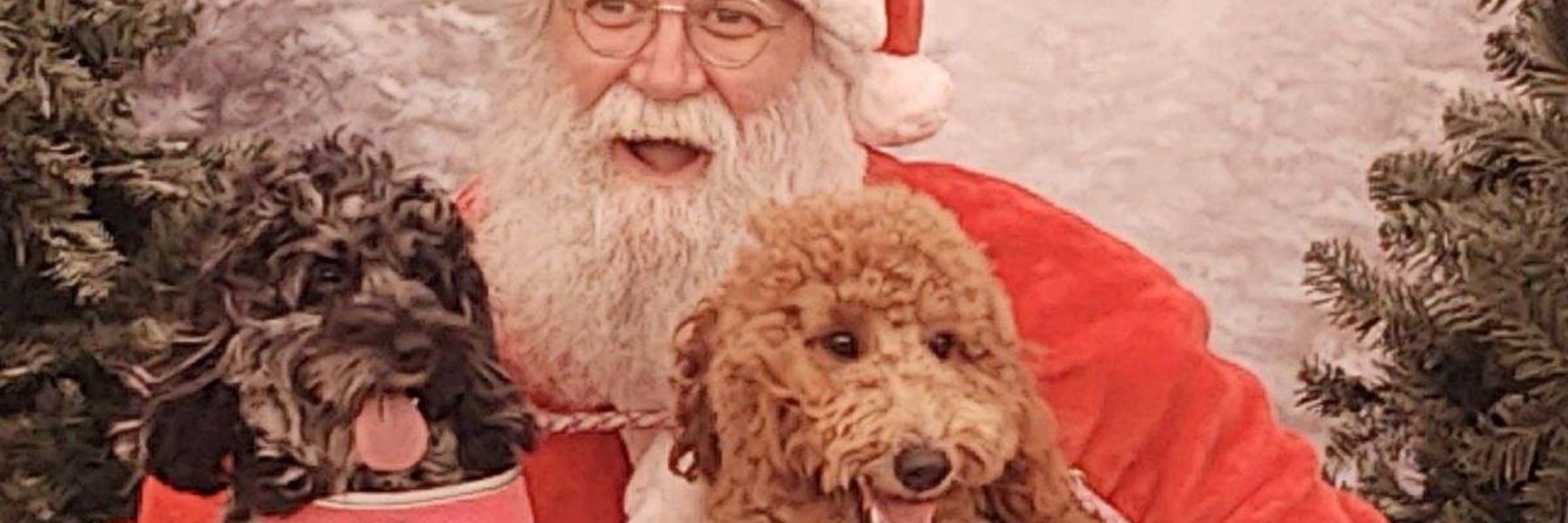 Santa Bear AJ 🎅🏼