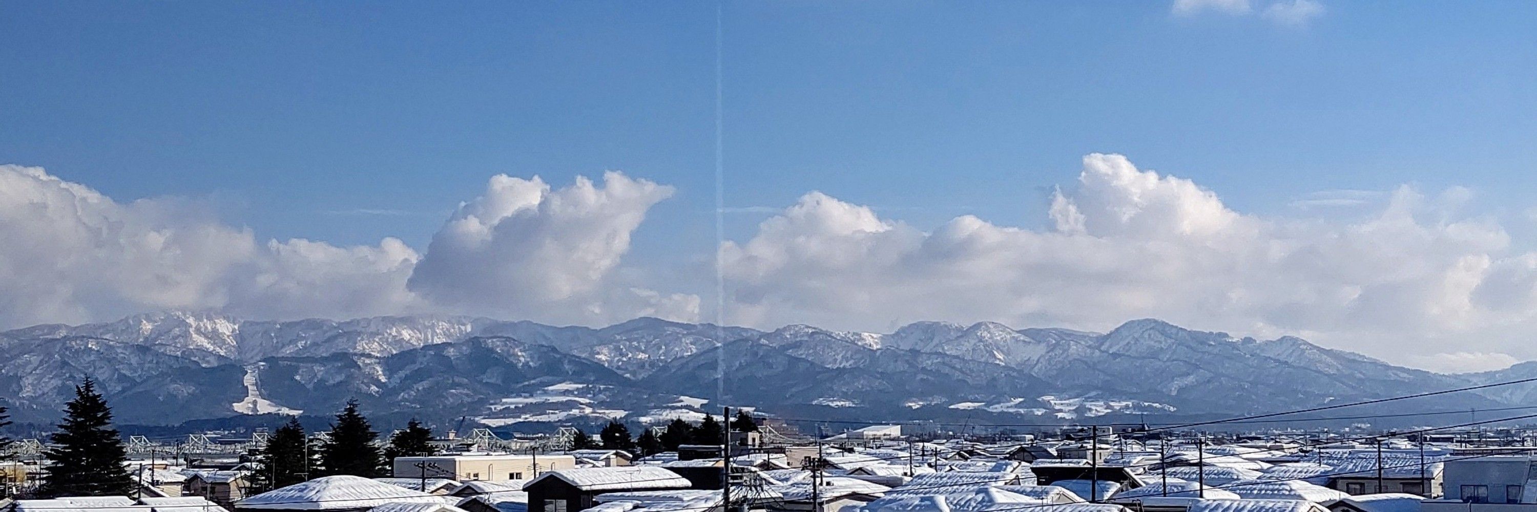 エコ