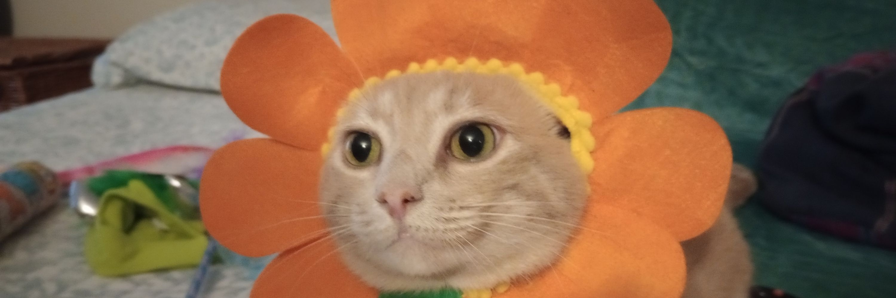MamawolfJackieD