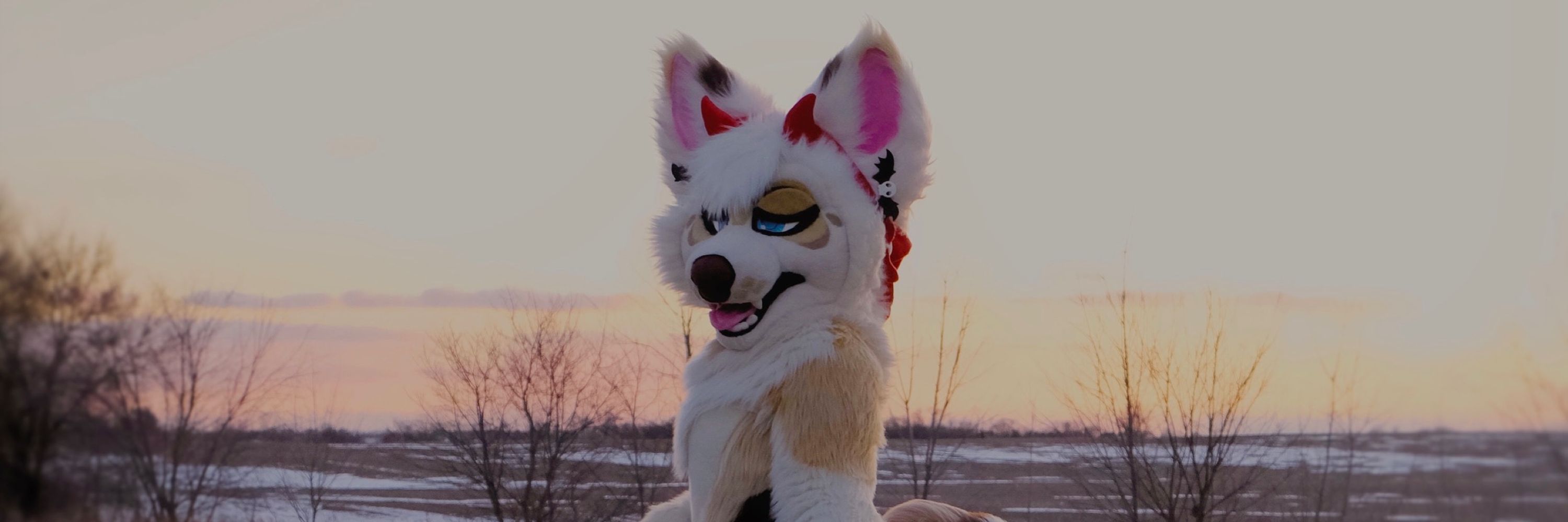 Ren