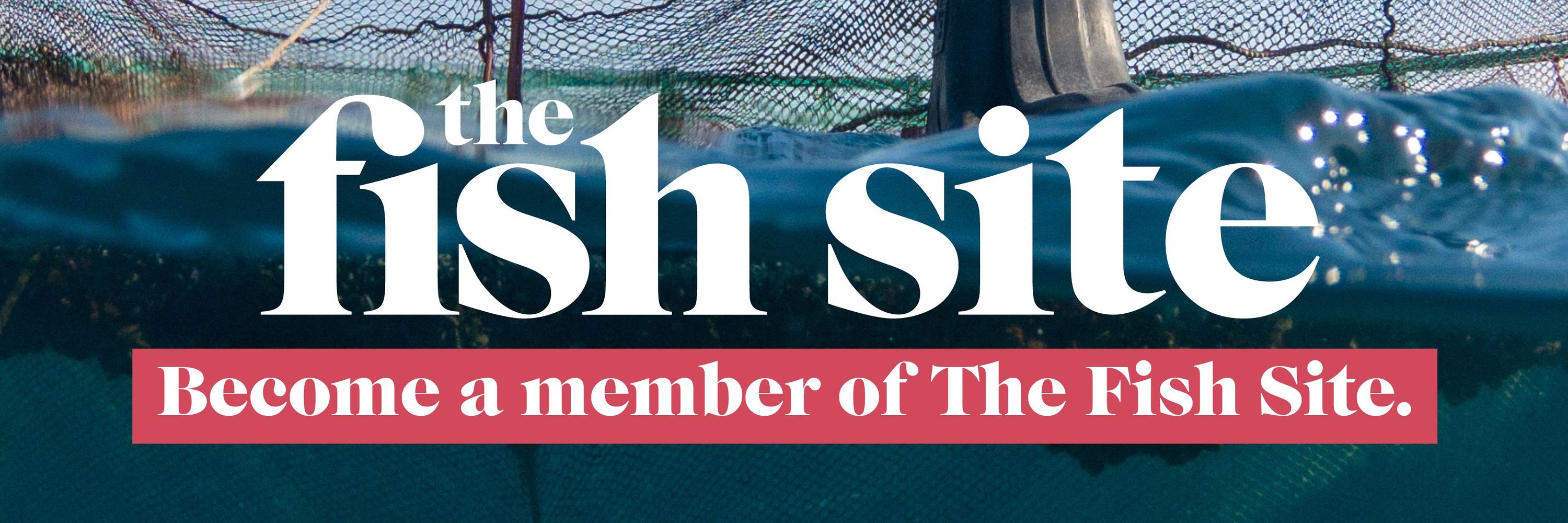 The Fish Site 