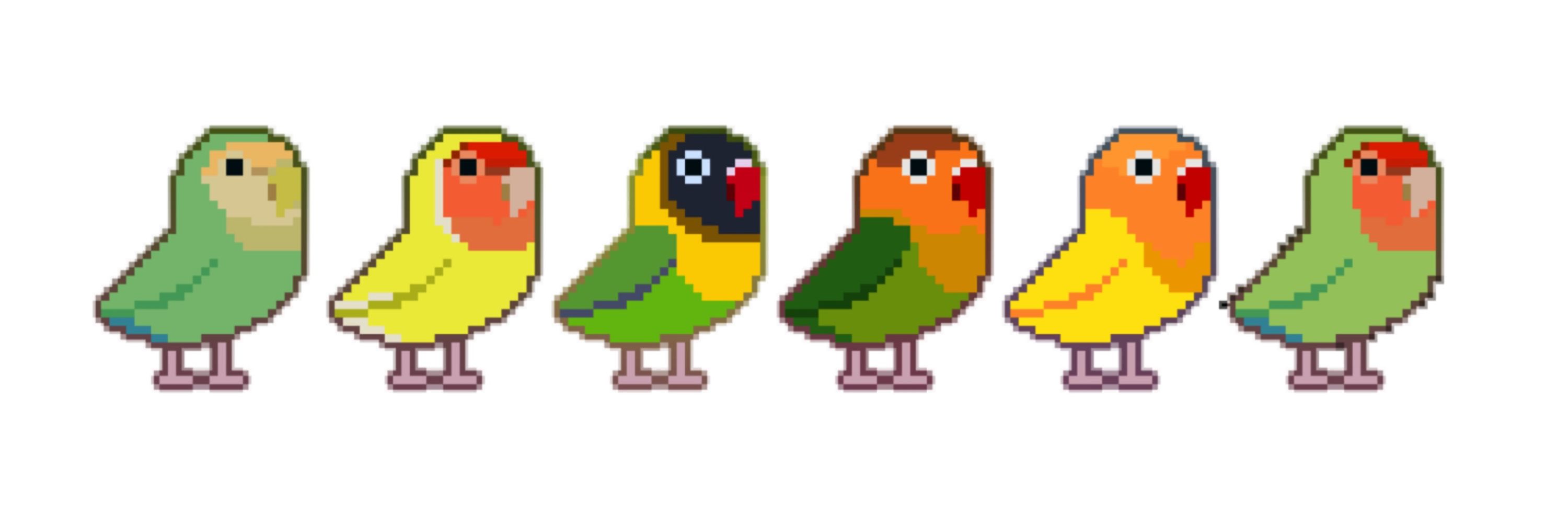 cési 🥭🦜