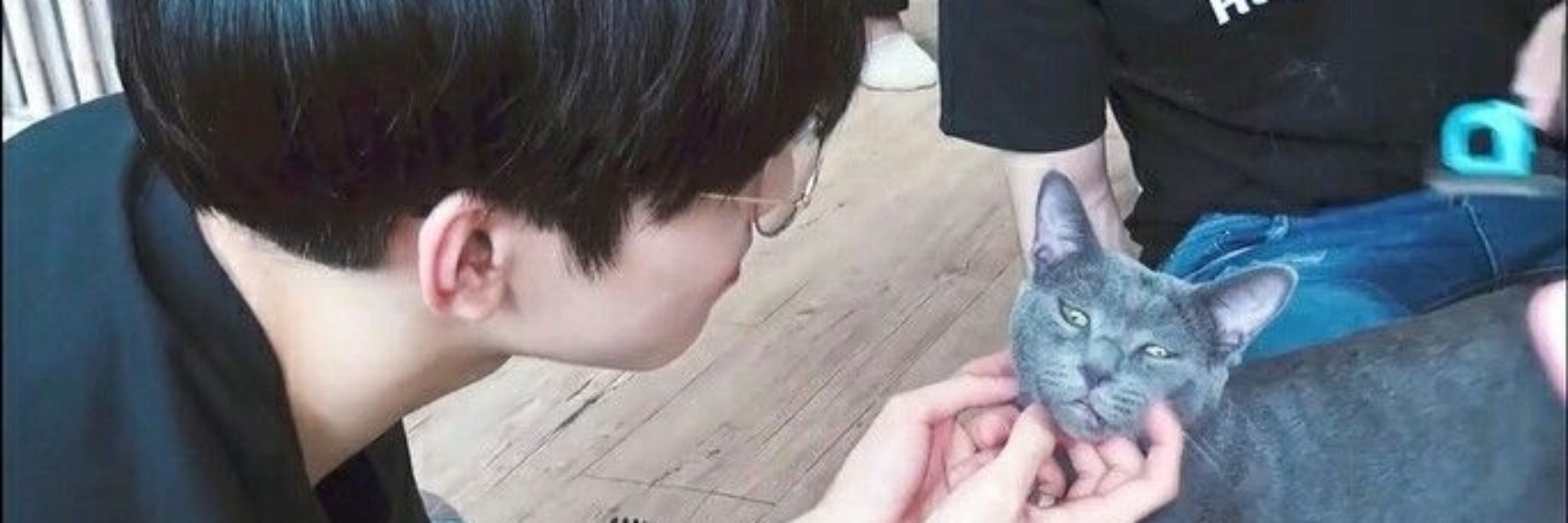 wonwoo kitty