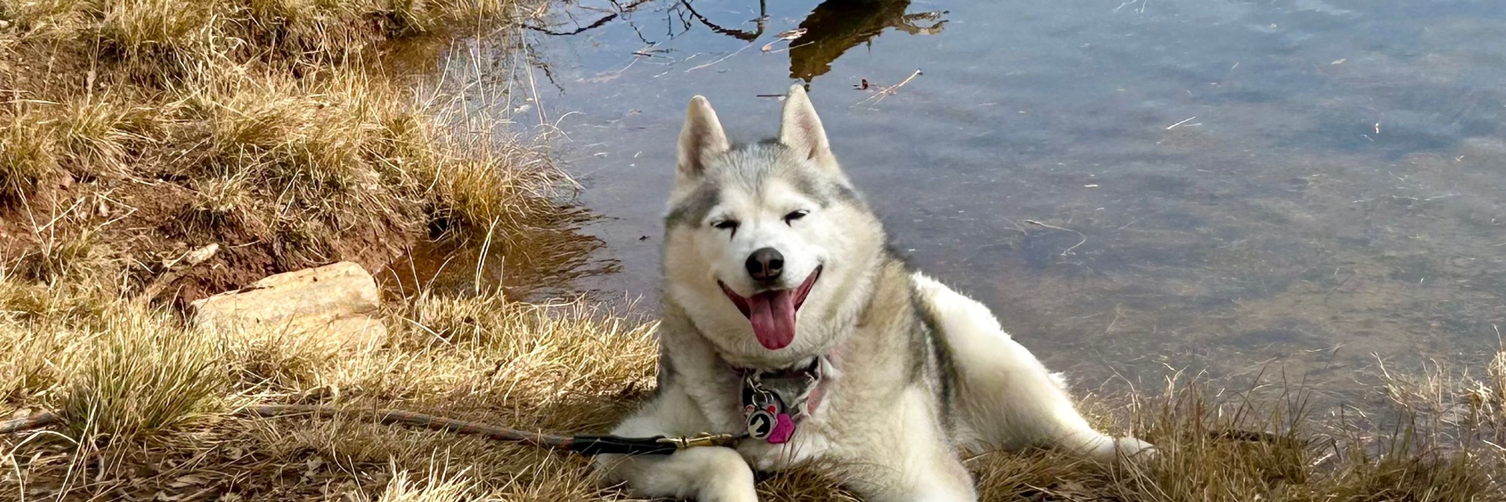 Maria 🐾