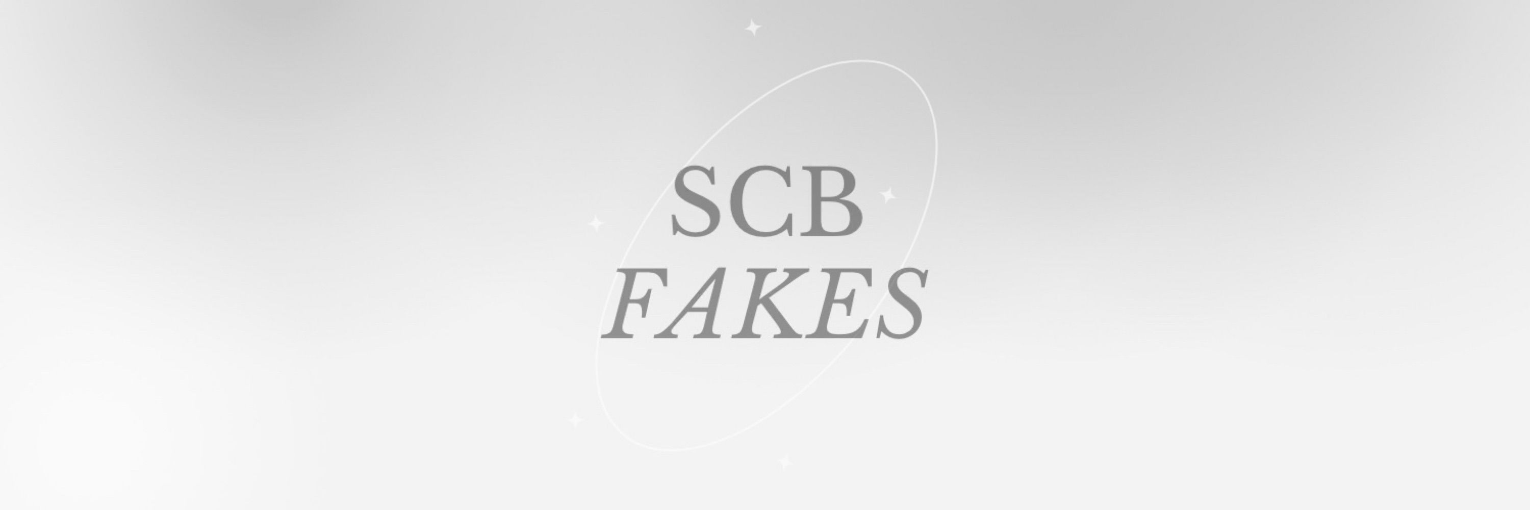 ⋆｡°✩ scbfakes ★