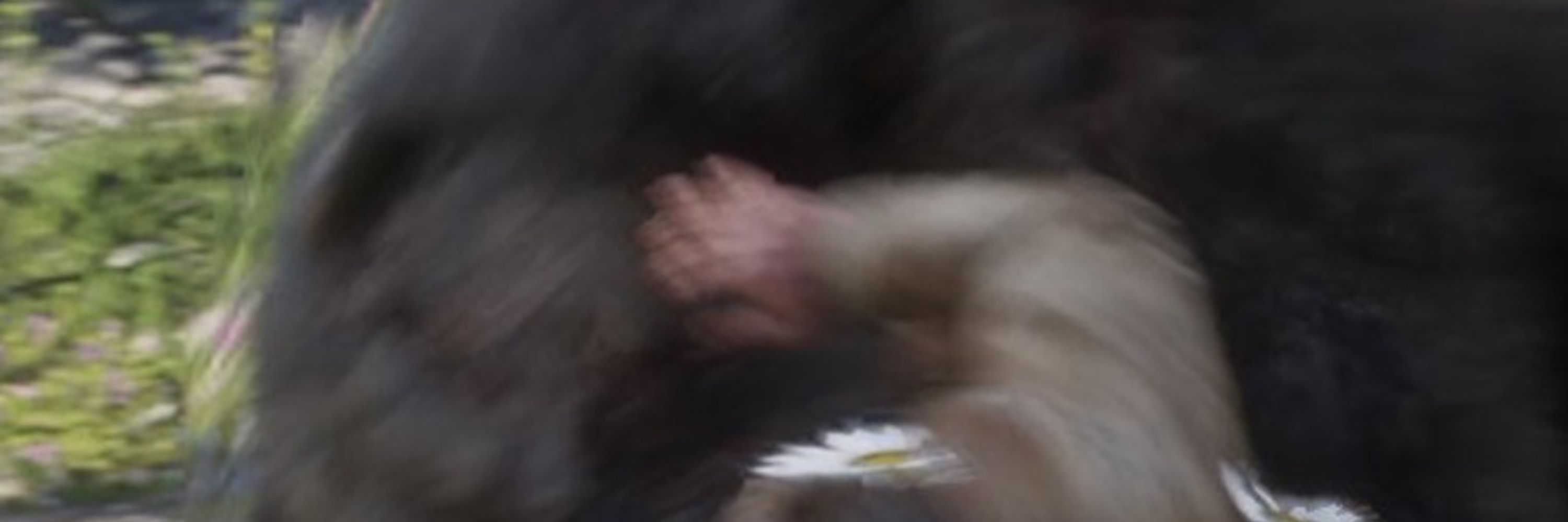 信