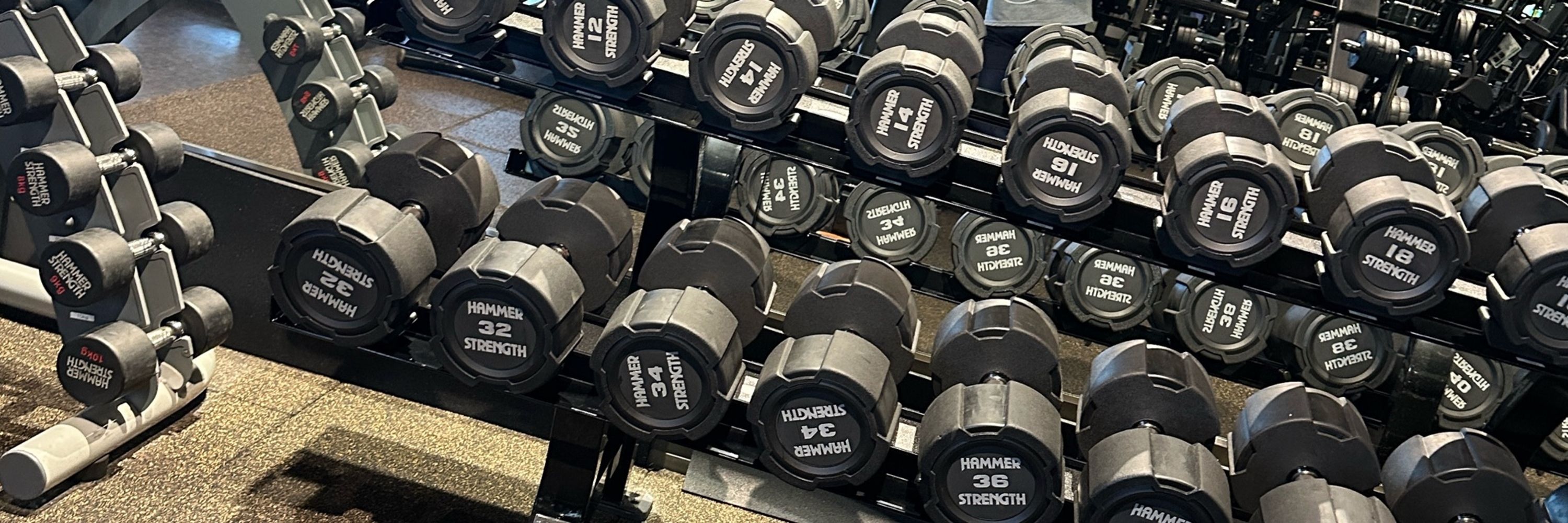 Yu-MoGym