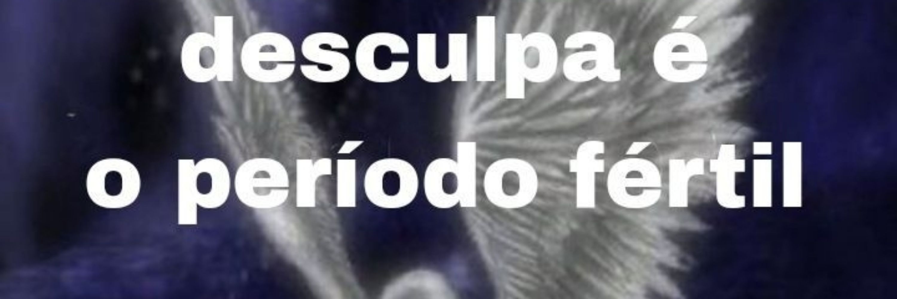Ilariê