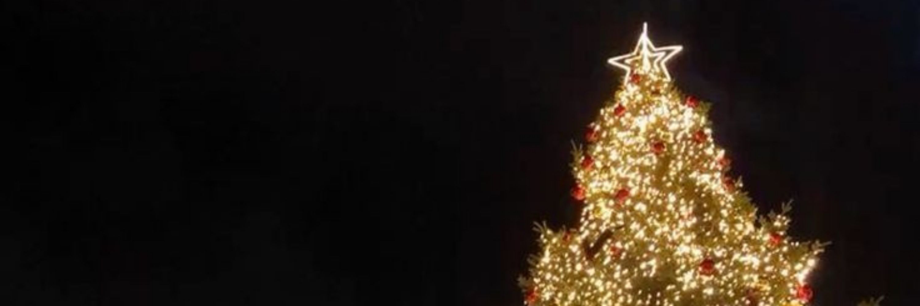 ☃️ᴿᵒᵇˢ 
_ˢᵘⁿ🎄🎁