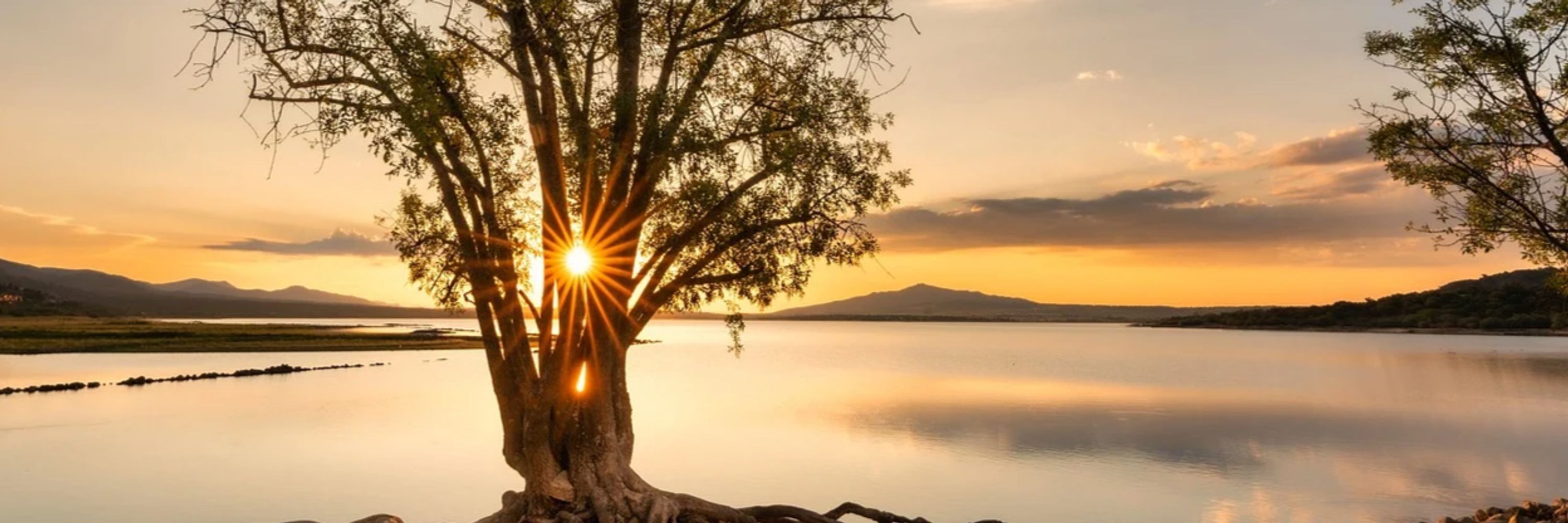 5 Reasons for Gratitude