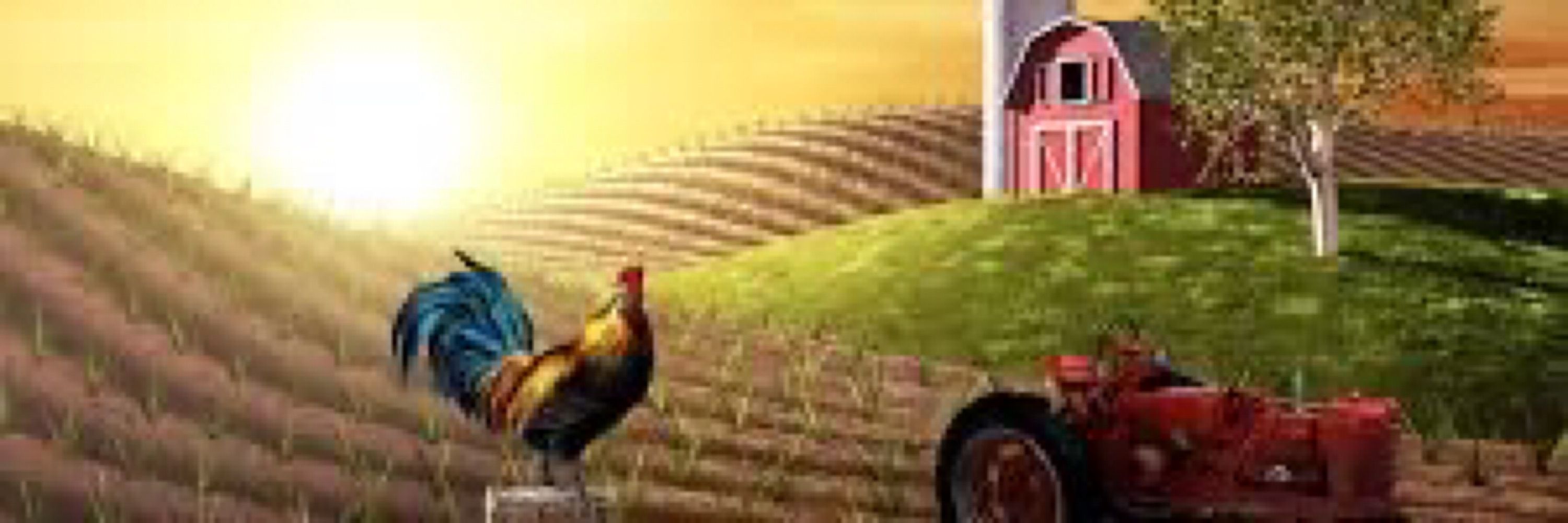 vininarede