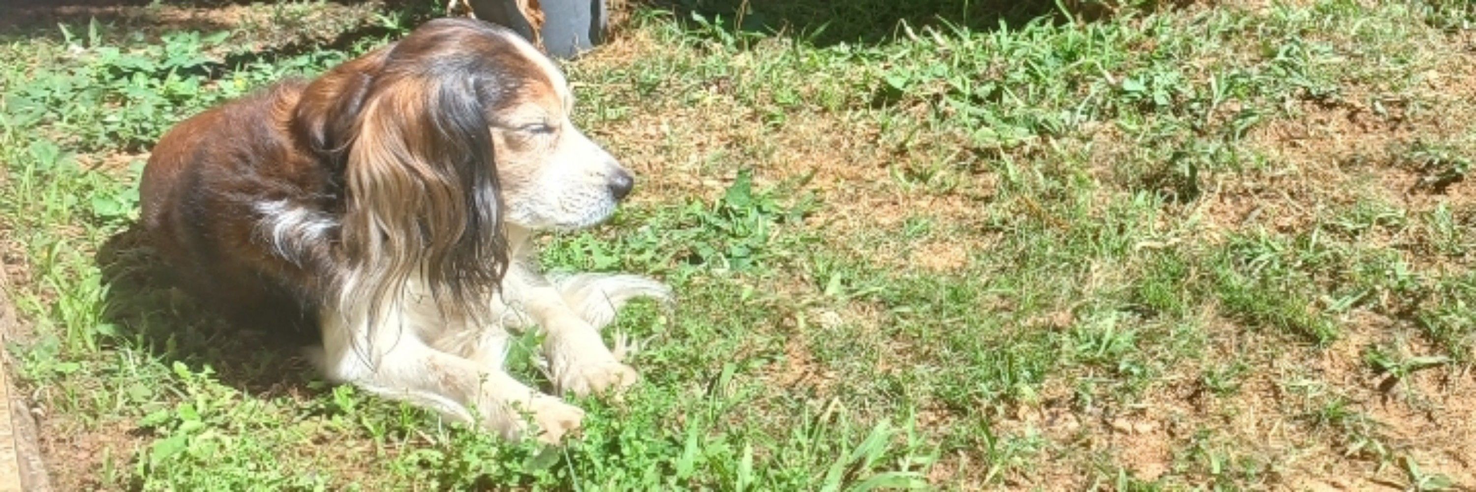 luu
