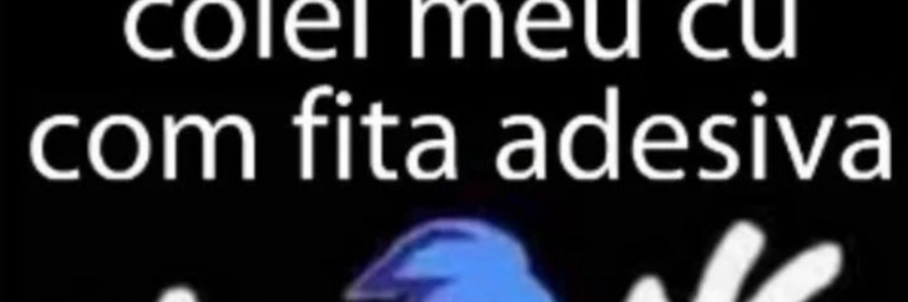 M. Bruno