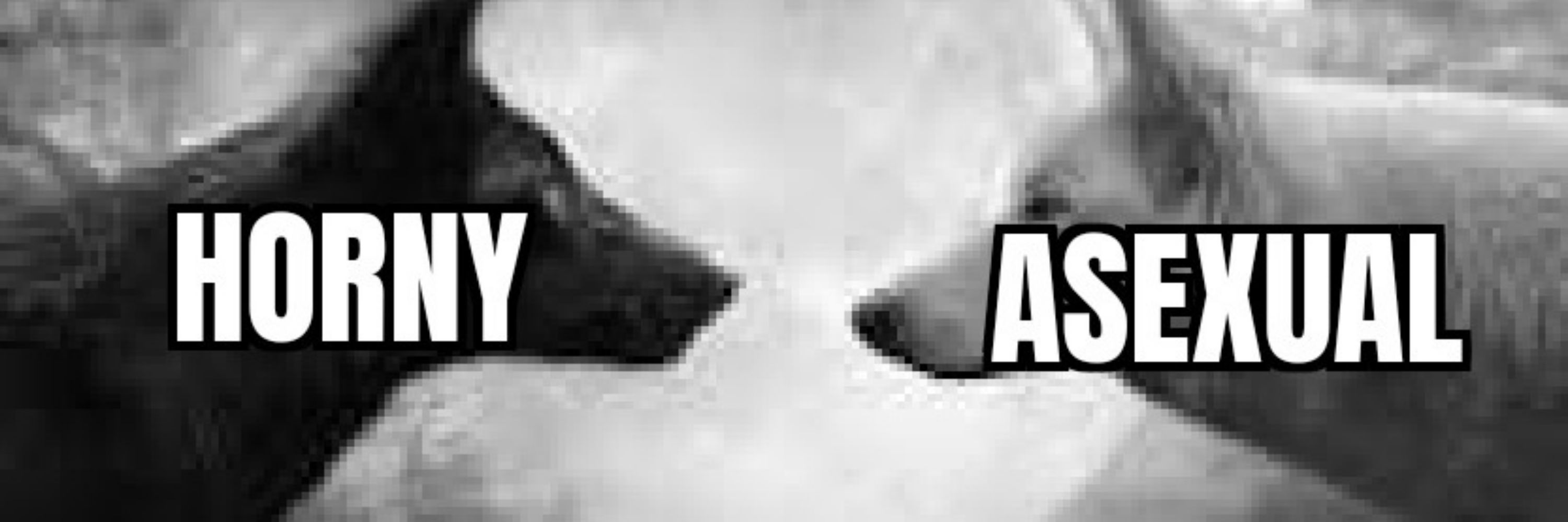 ✦