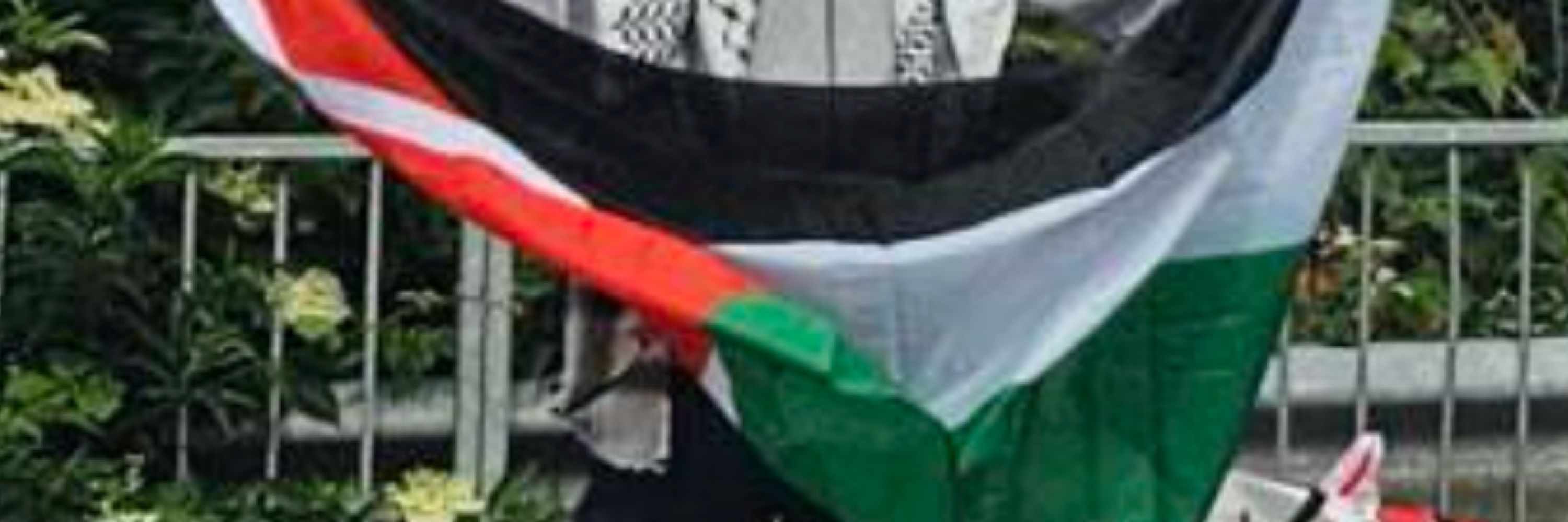 Seán 🏳️‍🌈🇵🇸🇮🇪