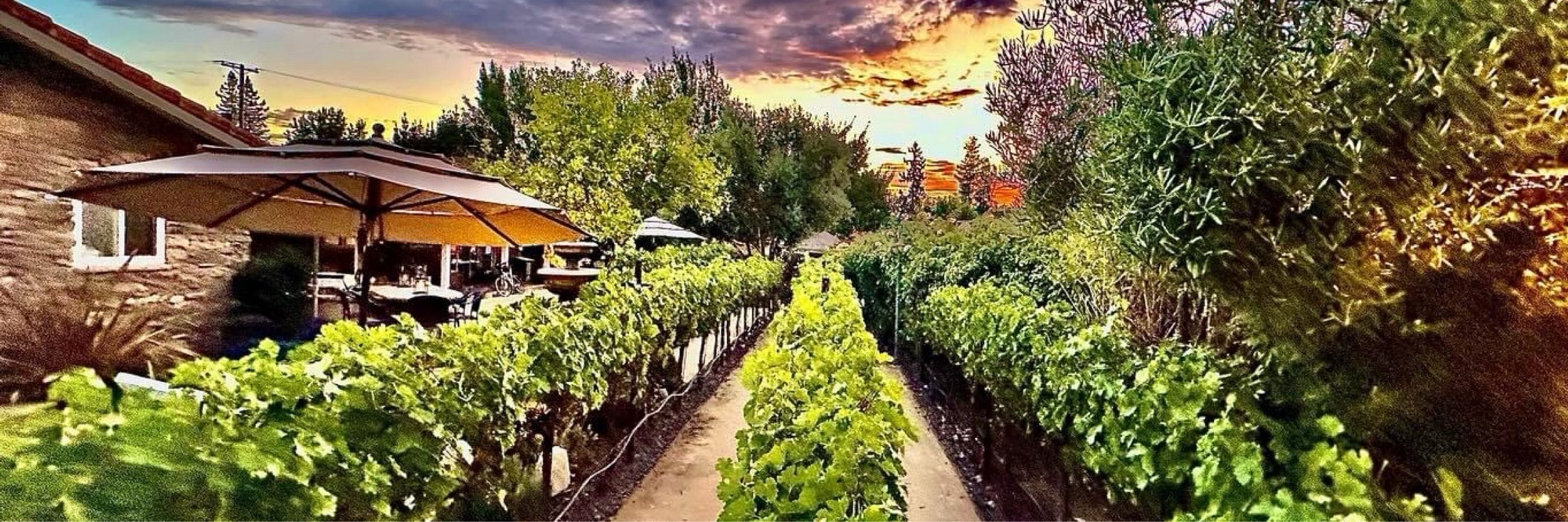 Nathan Family Vineyards