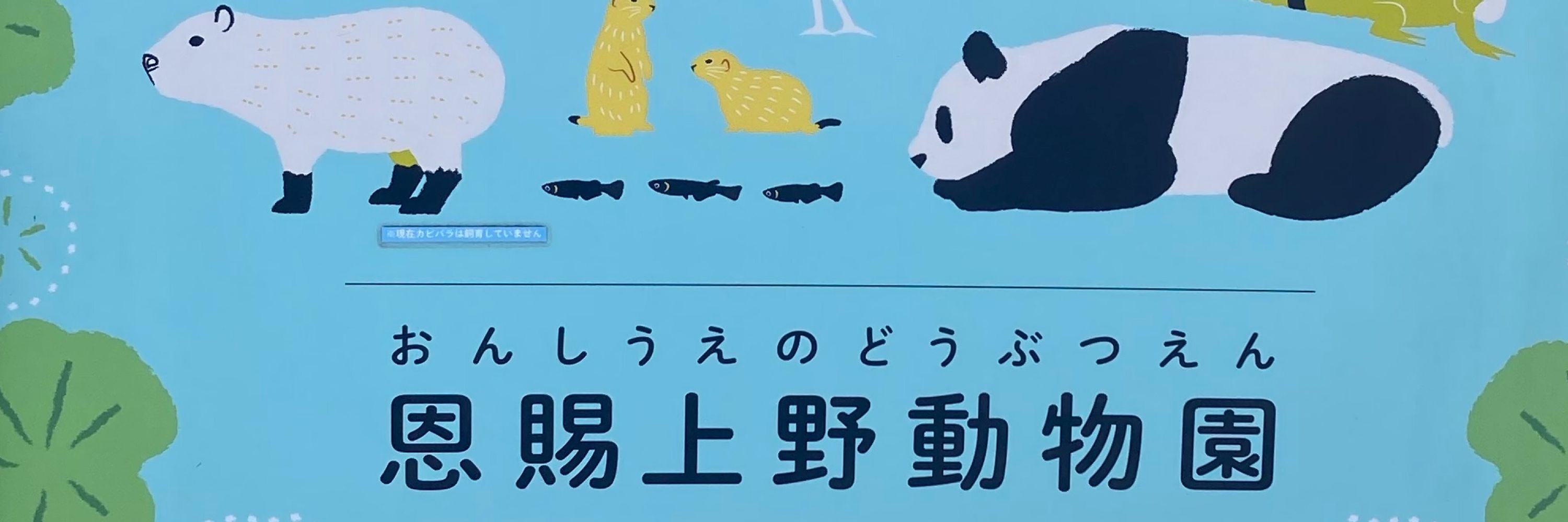 くまひよ