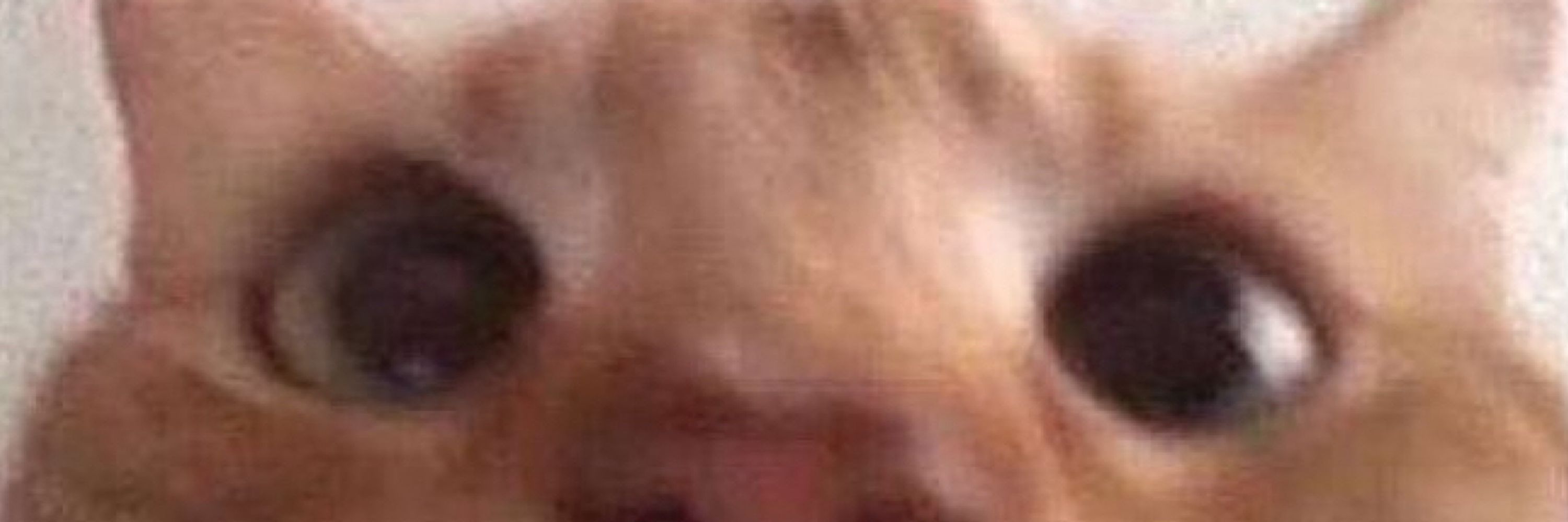 Thimsy