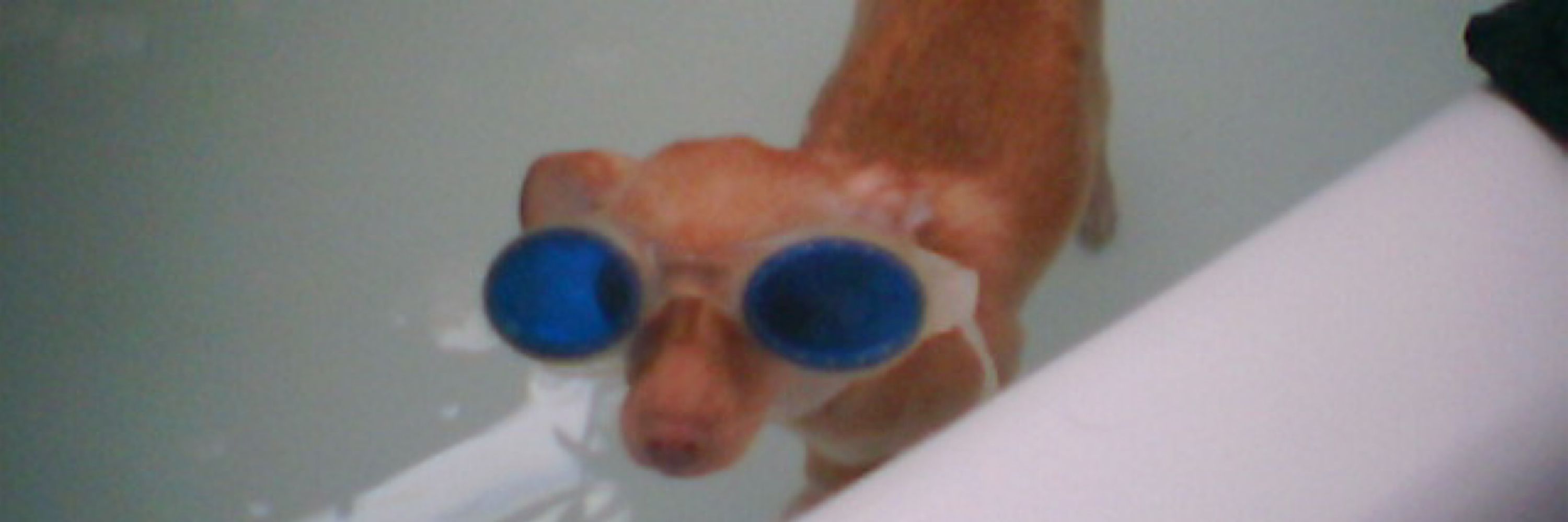 punk