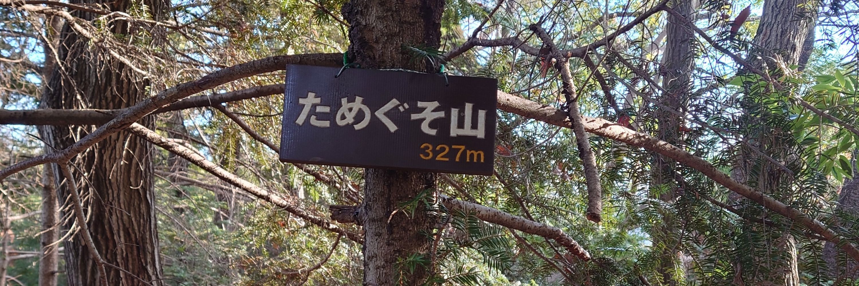 山の如し