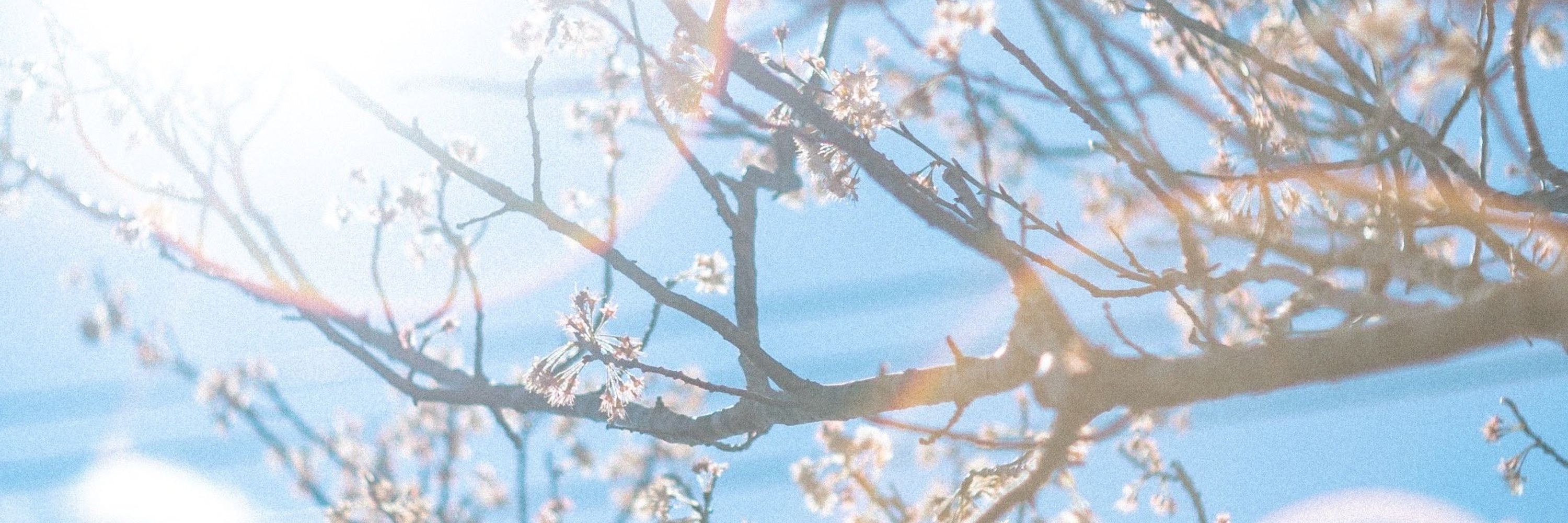 winter angel ✩₊˚.🧊⋆☾⋆⁺₊✧☁️