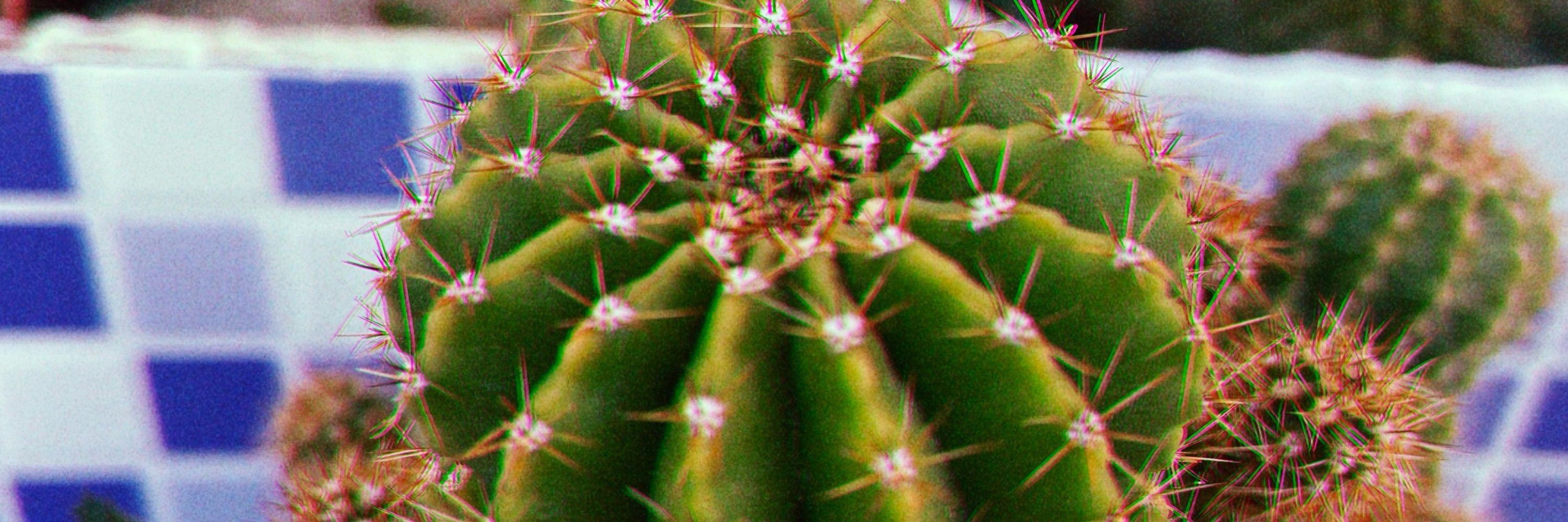 aluap