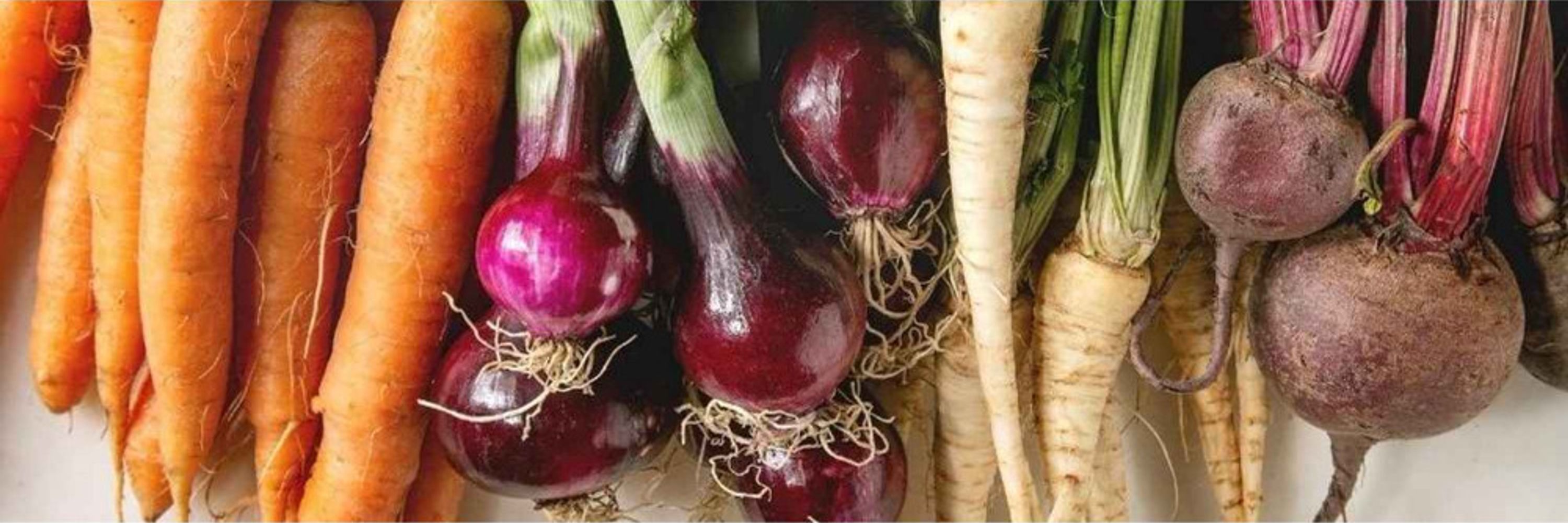 Root Veg Serf. Hir Oes i'n Llyw Annwyl!
