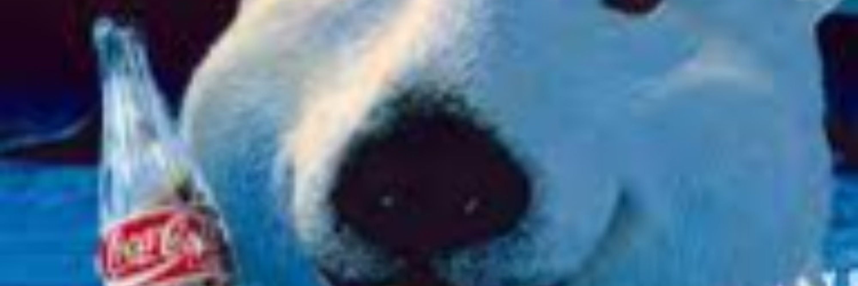 Coke Bear