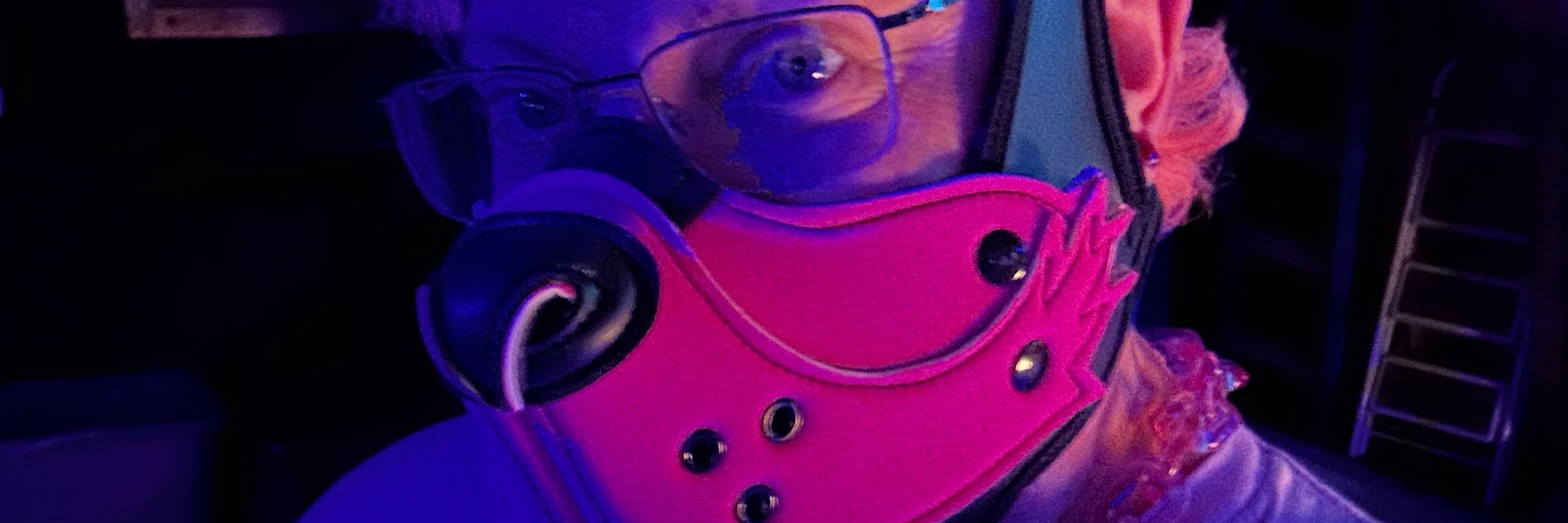 PupRogue
