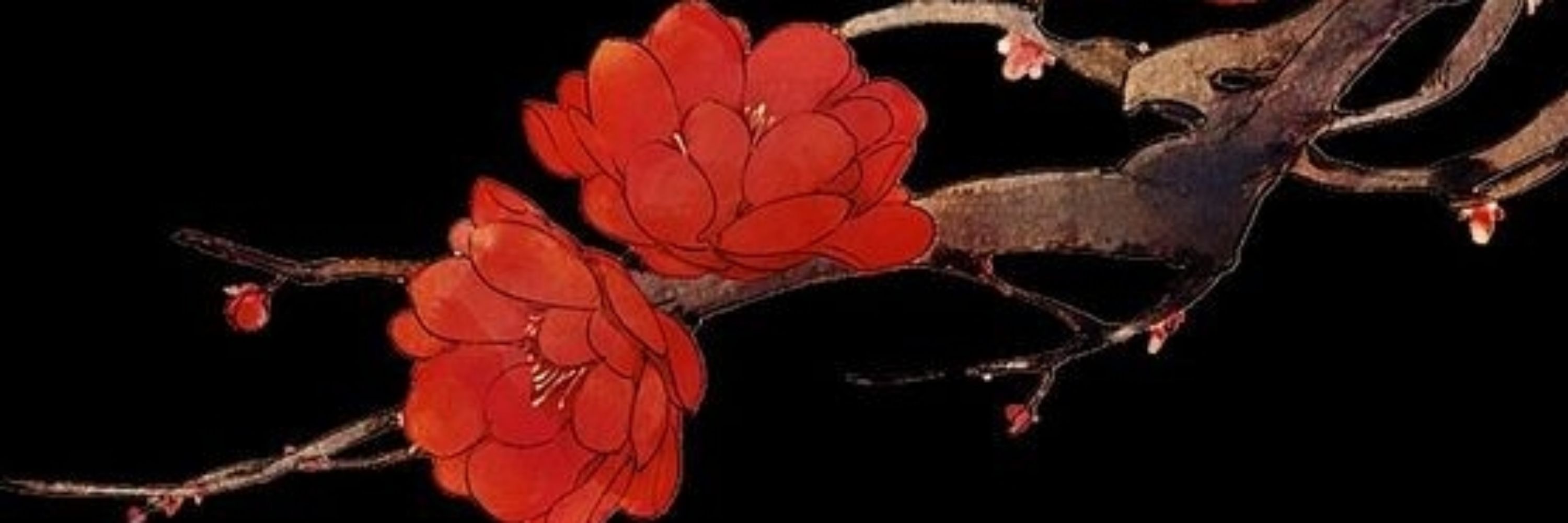 Le 🌹