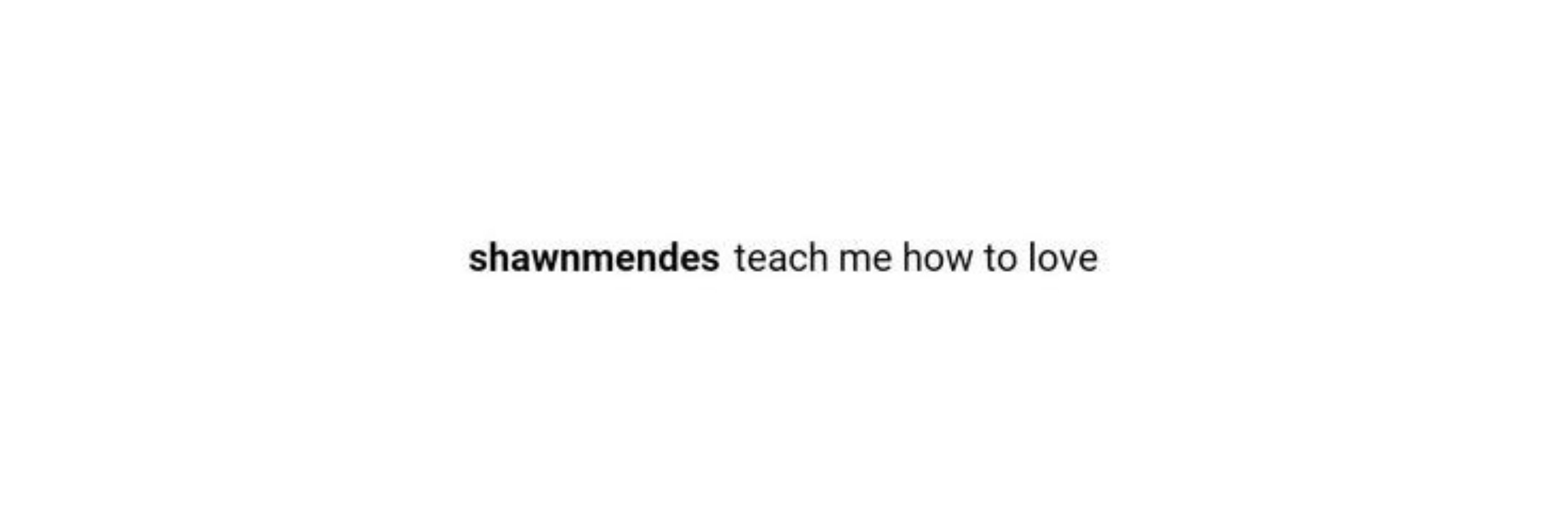 nick luvs shawn mendes