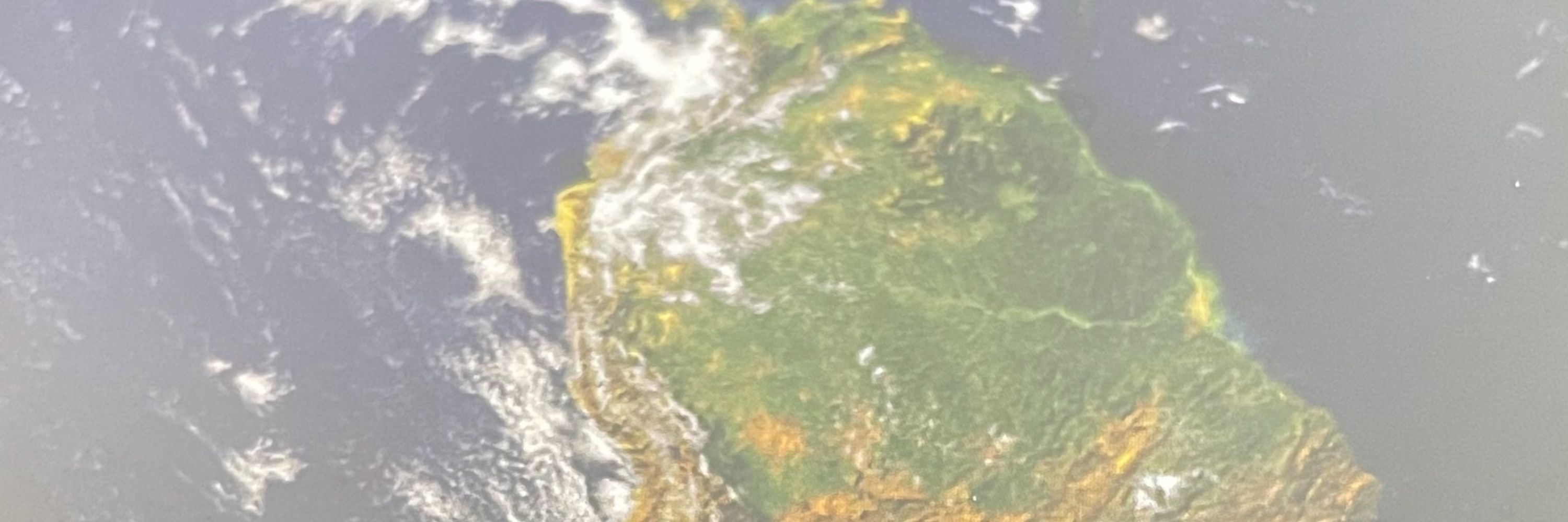 LinneaLinnea