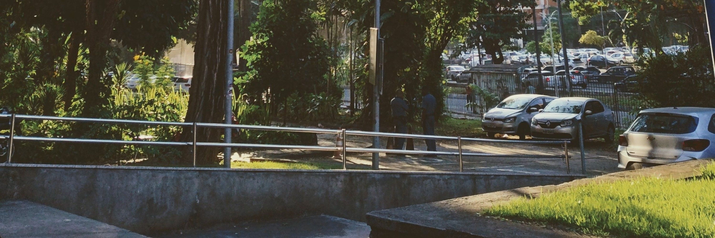 João Mota