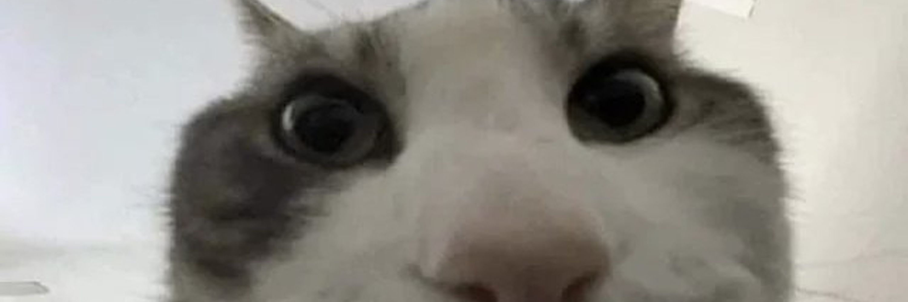 cb
