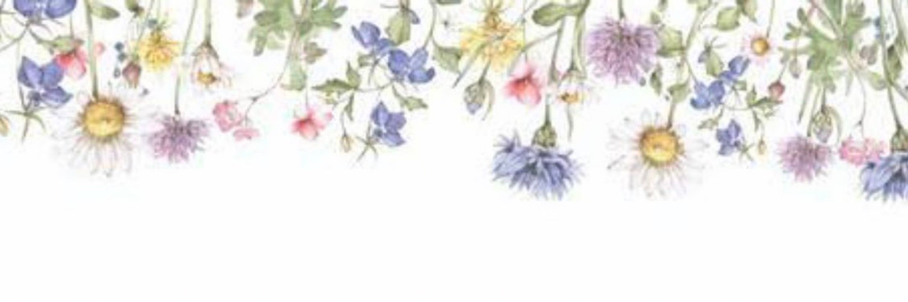 椿あおい🌼.*インティ【名古屋メンズエステ】