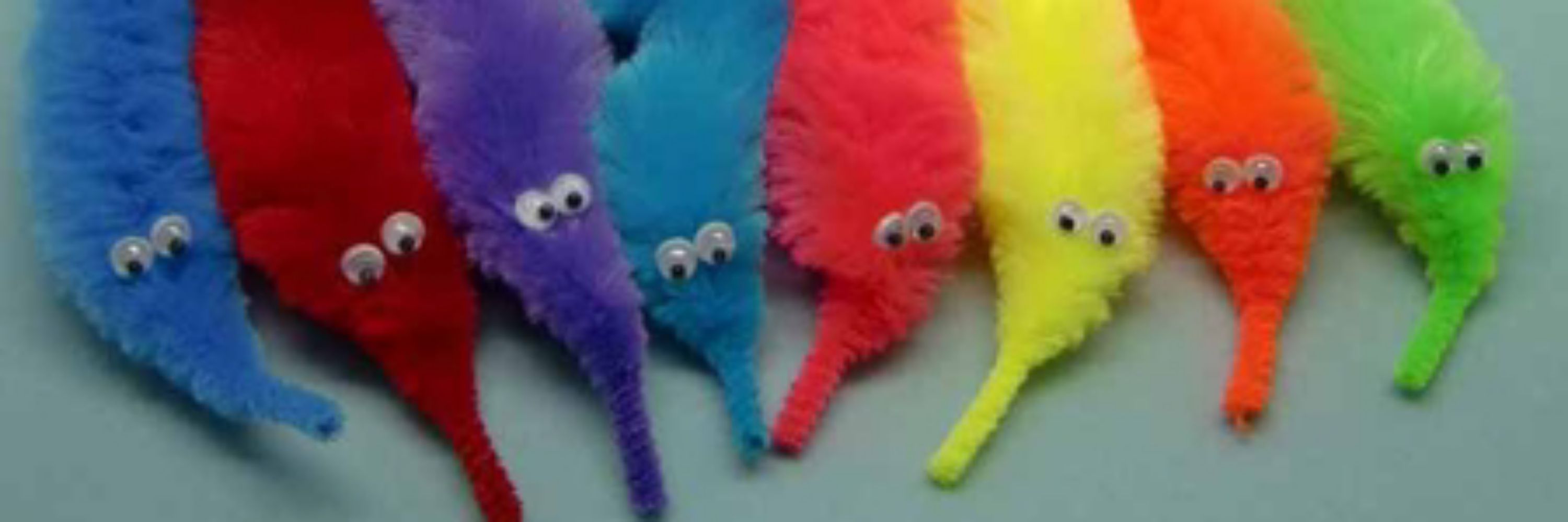 Worm Anon