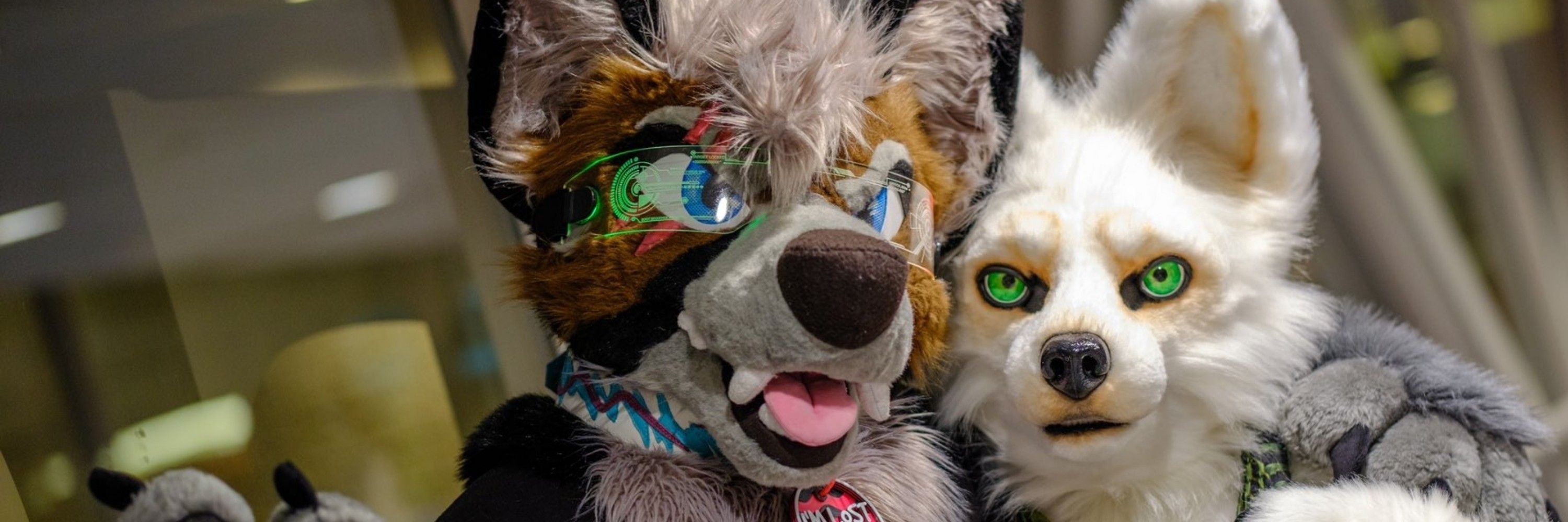 Seb 🔜 furpoc