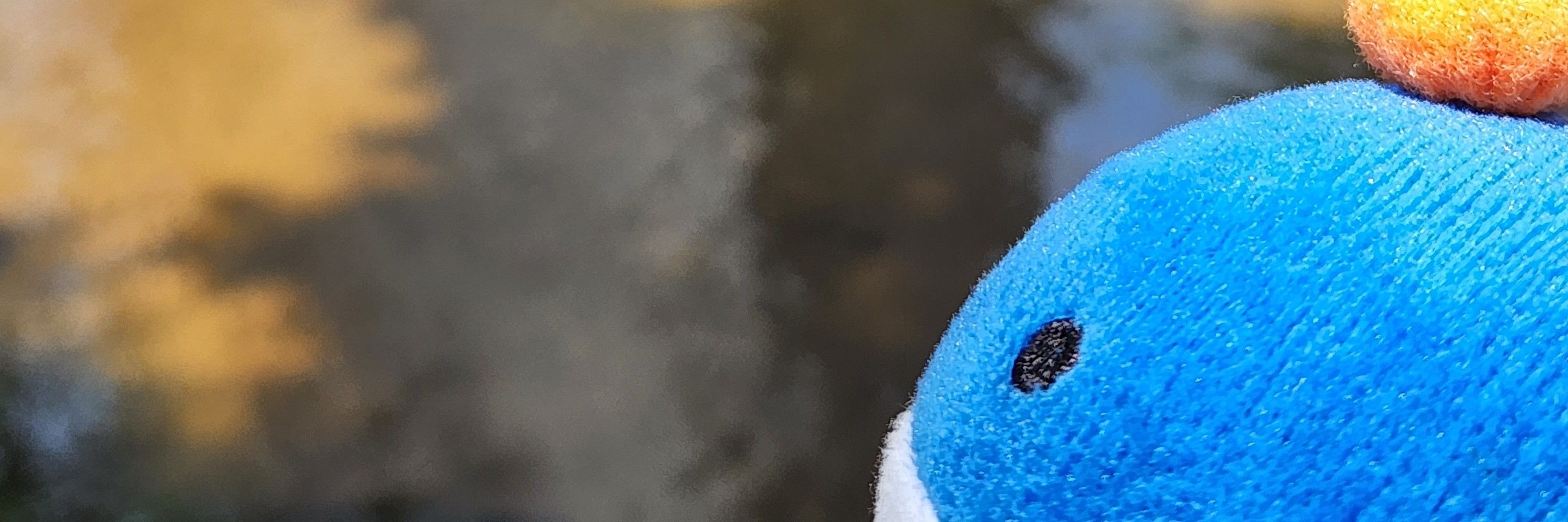 고🐳래