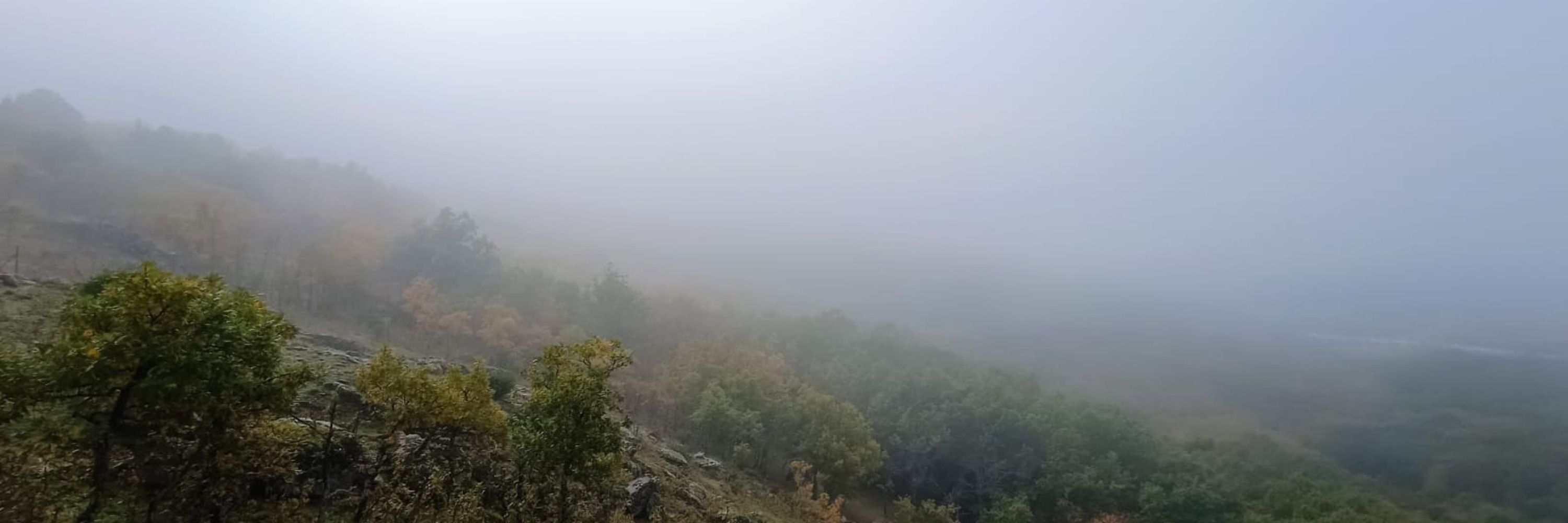Aránzazu