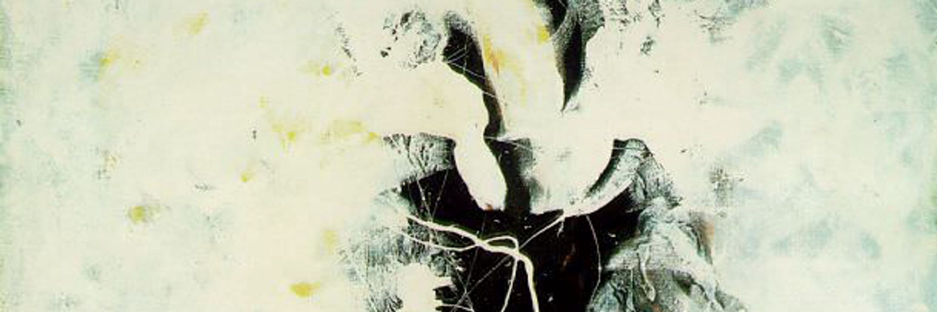 Joel Werner