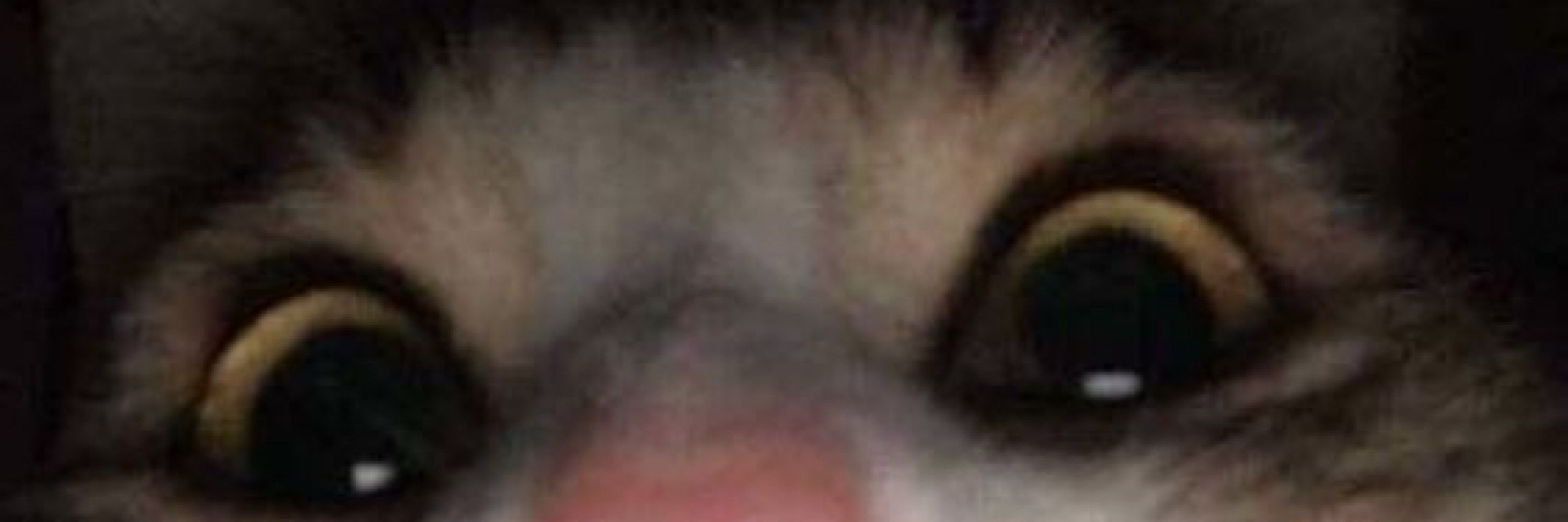 Thiag0lesk 