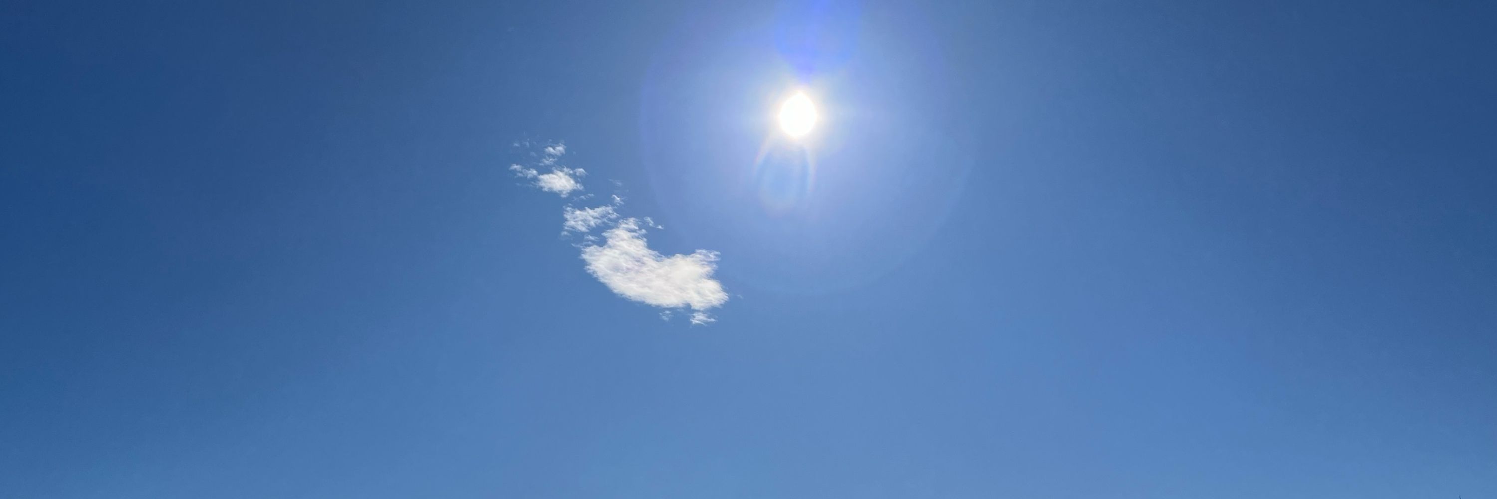 ずん